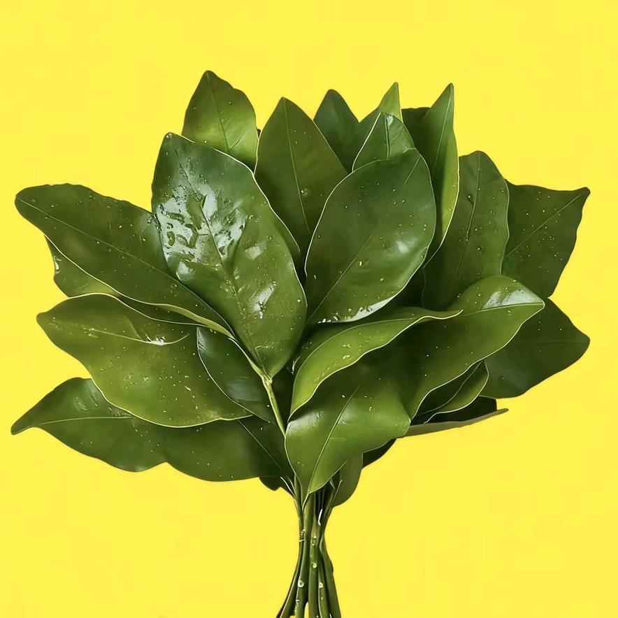 獨①🈚2◎º🌹