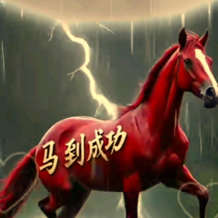 🐴马中赤兔🐰