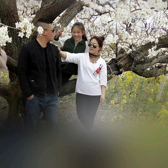 情人的眼泪