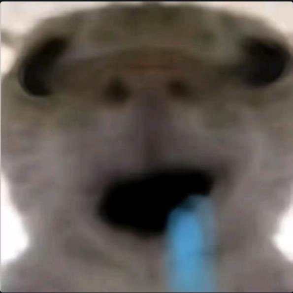 沉着冷静湖蓝蓝