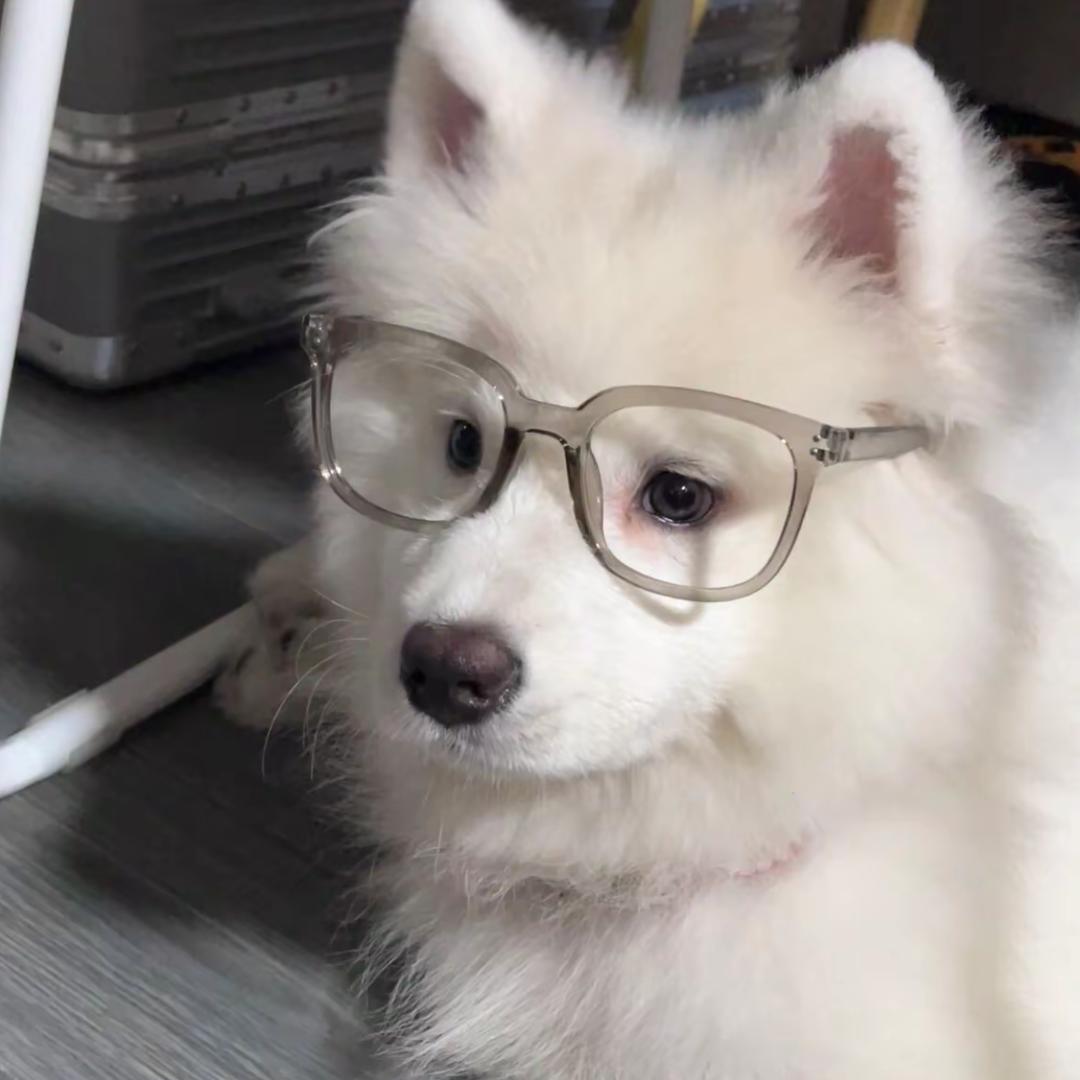 铁锅炖大白鹅