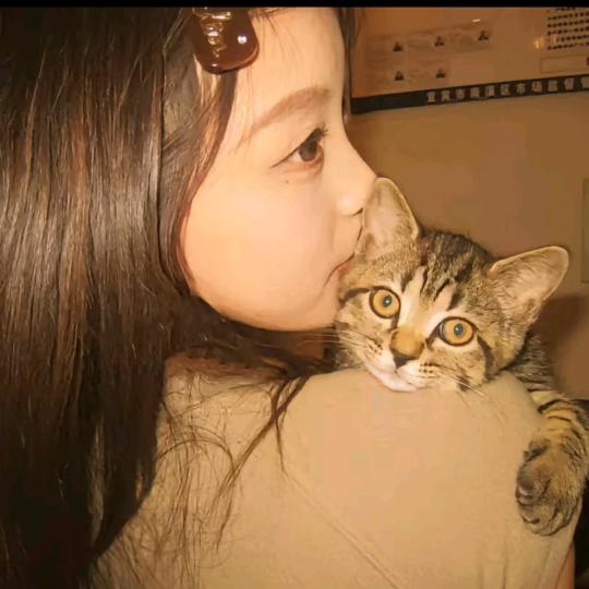 ▪︎一个蛋挞•