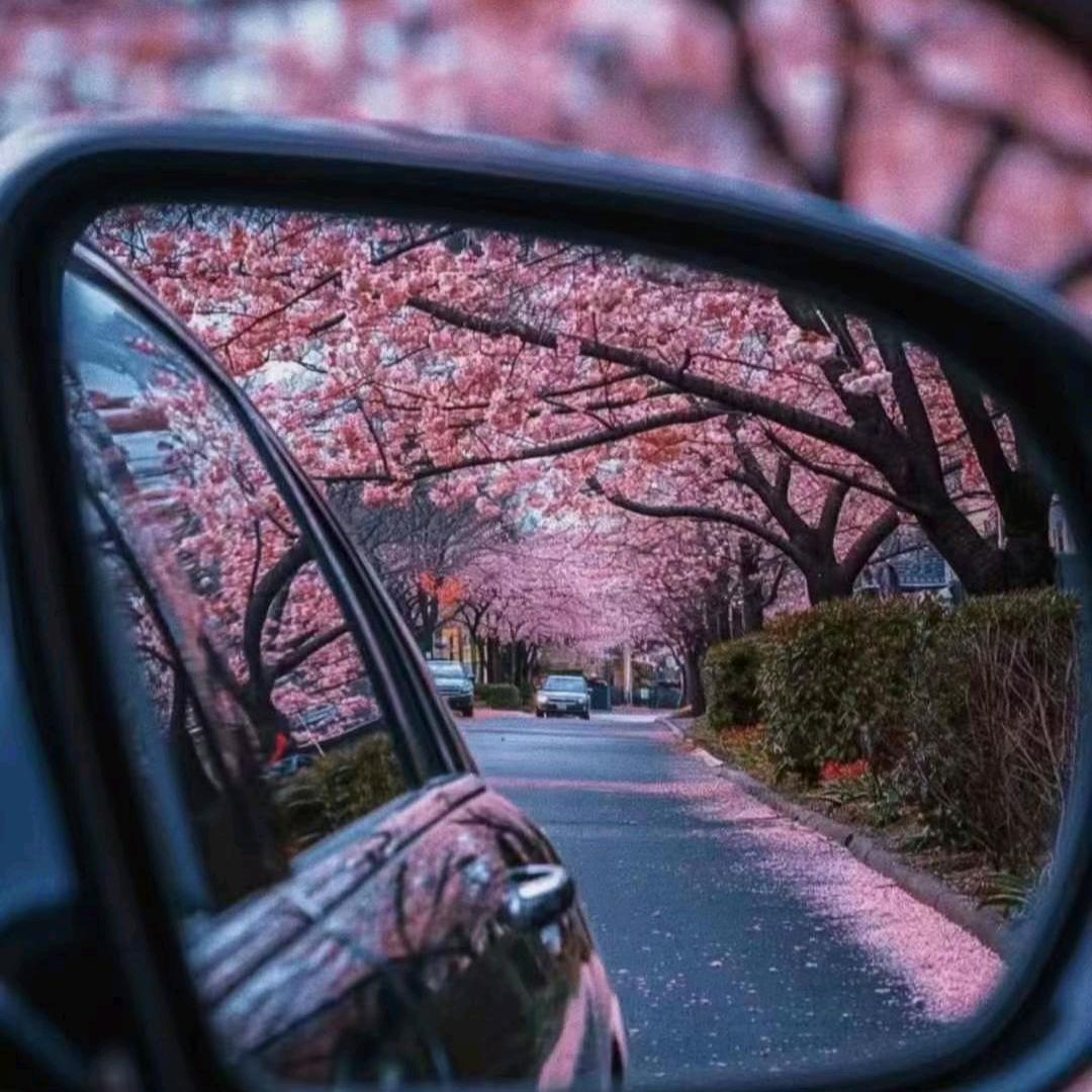 董懂✨