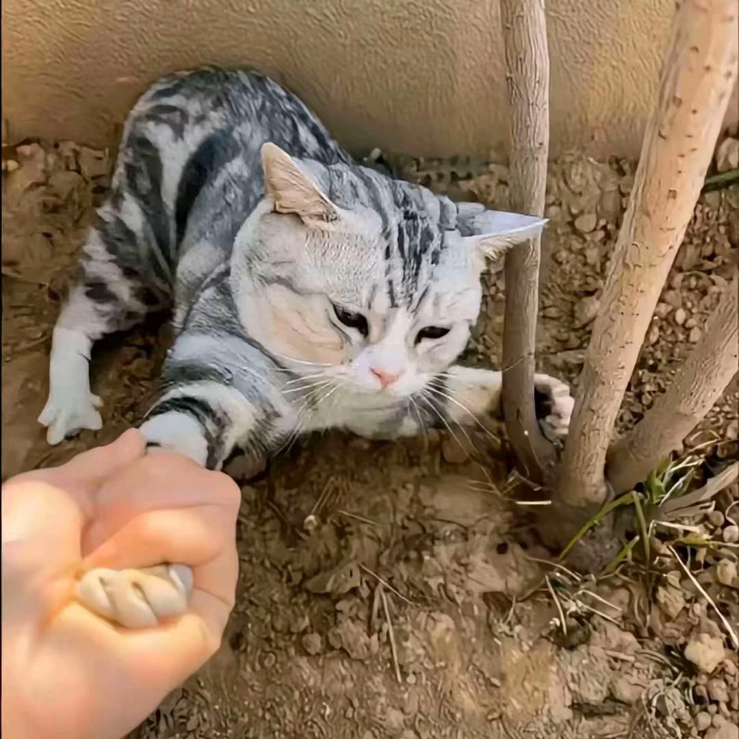 其实雨也没多大。