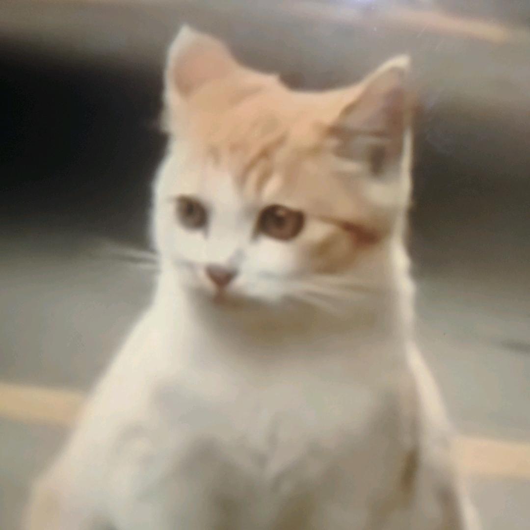 ≠