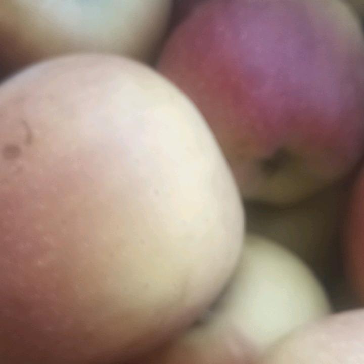 爱我自己
