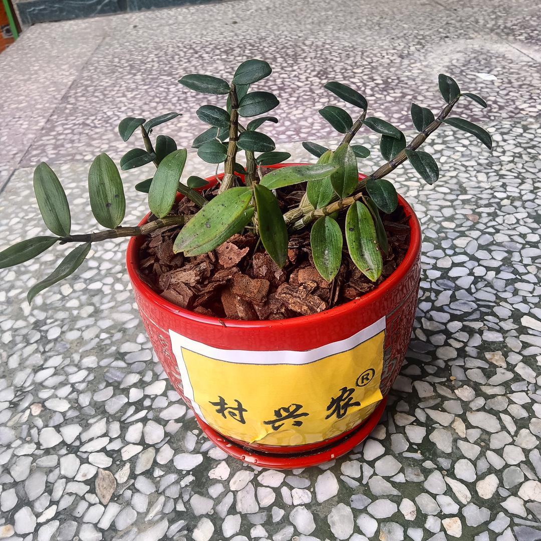 村兴农