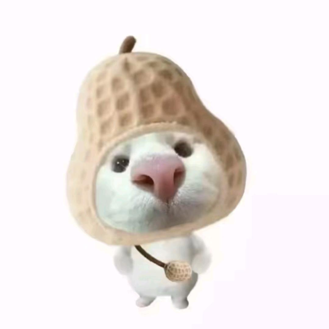 旋转木马