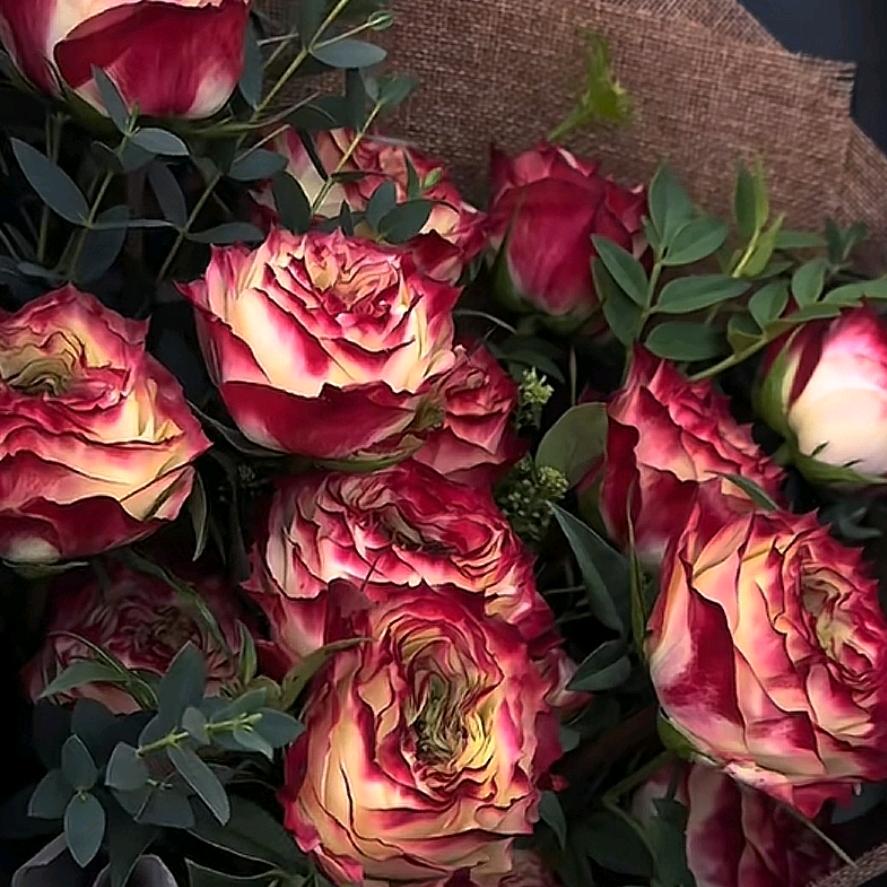 ♡ۣۖิℋ𝒶𝒷𝒾🍂