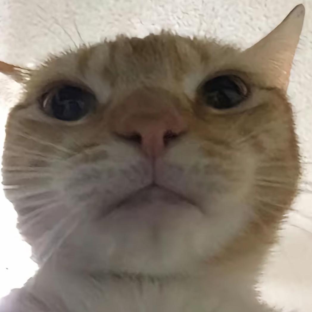 鼠输（三角洲行动）