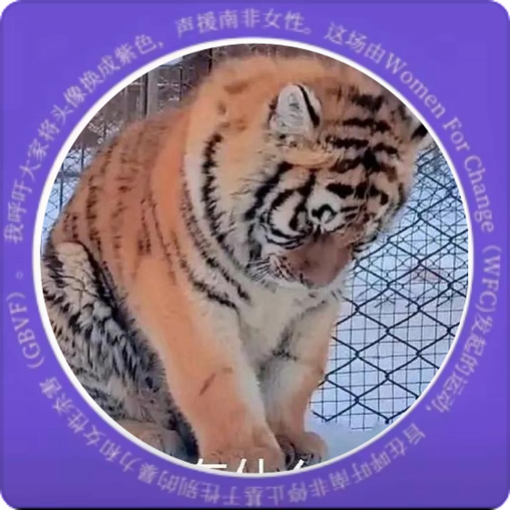 小猫咪有什么坏心眼