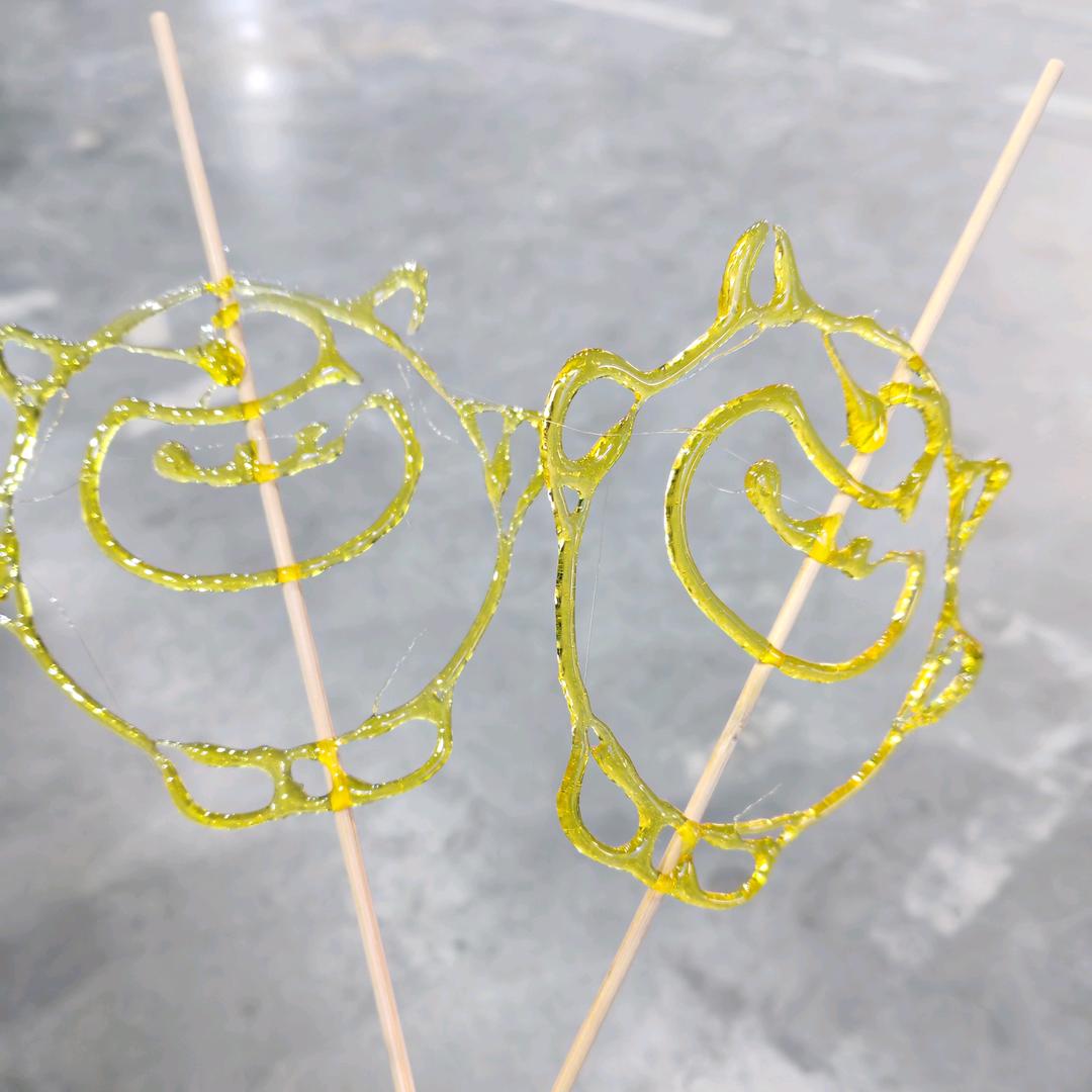 不吃香菜呀呀呀