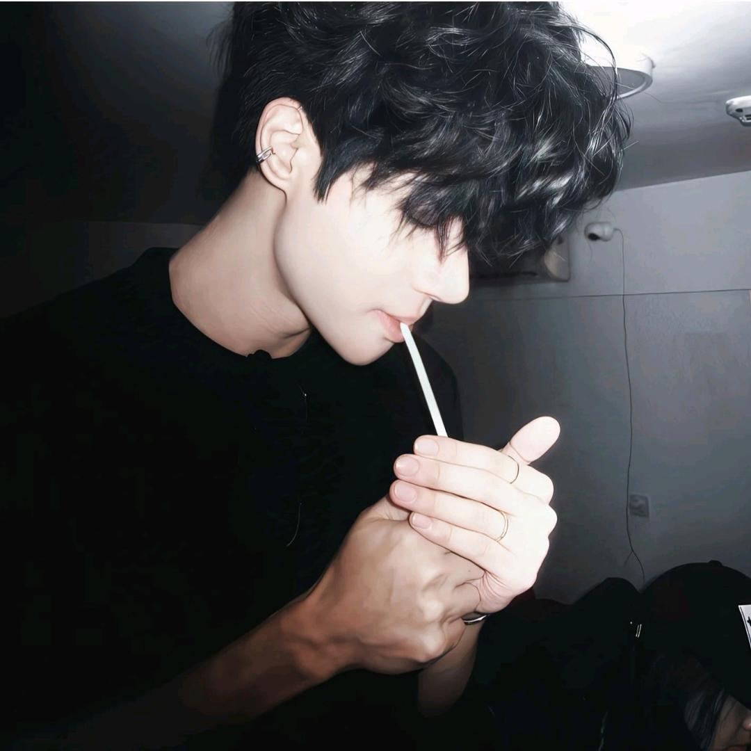 愚蠢的狐狸