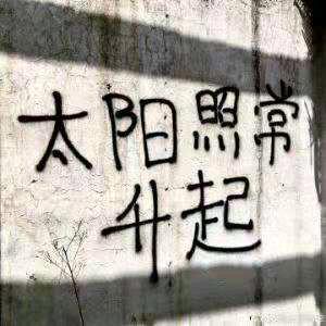 贰叁叁