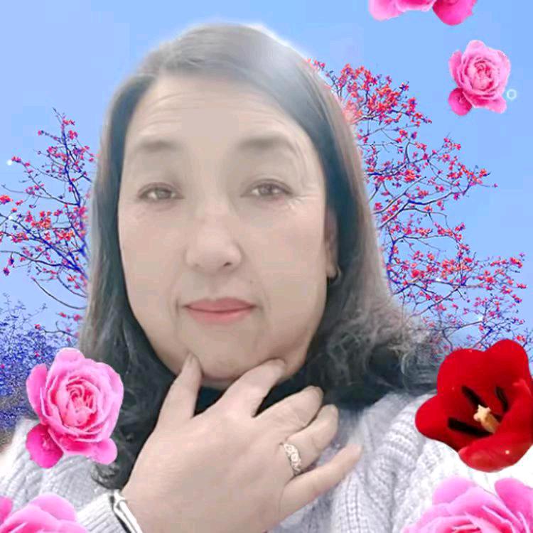 蝴蝶双双飞919荒漠玫瑰🌹