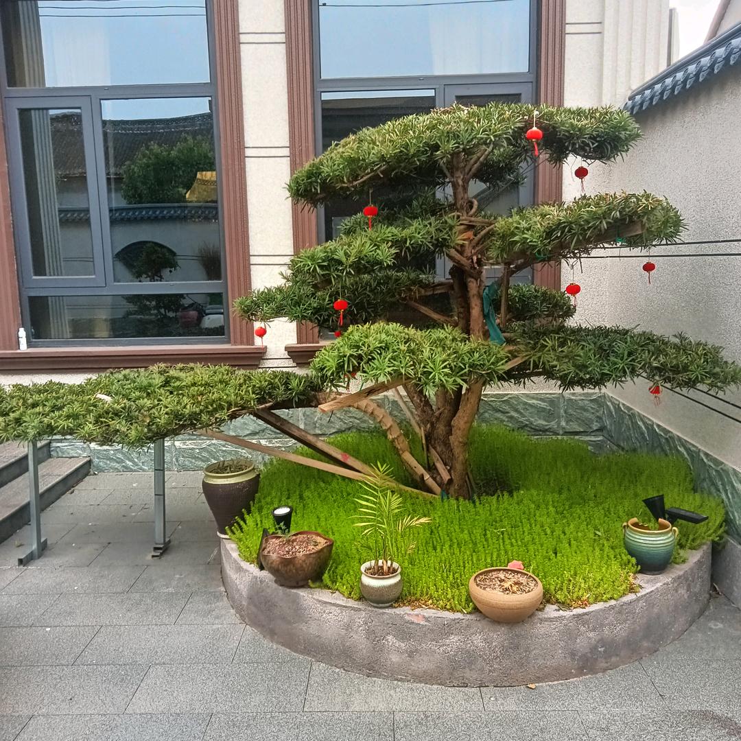 浪子回头金不换