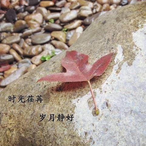 谁的人生不迷茫