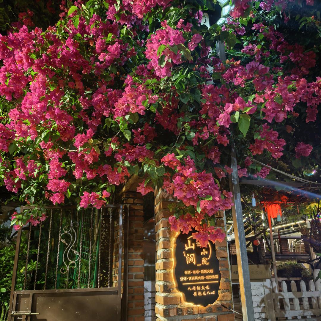 大坪山·山涧小院·团建·农家菜