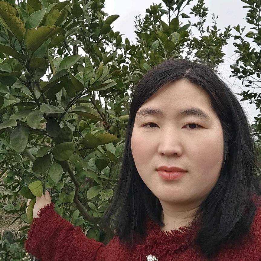 安福明珍金兰柚