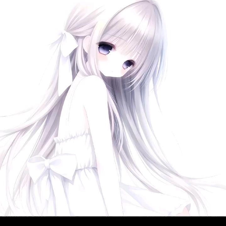 黄金书(管理员)