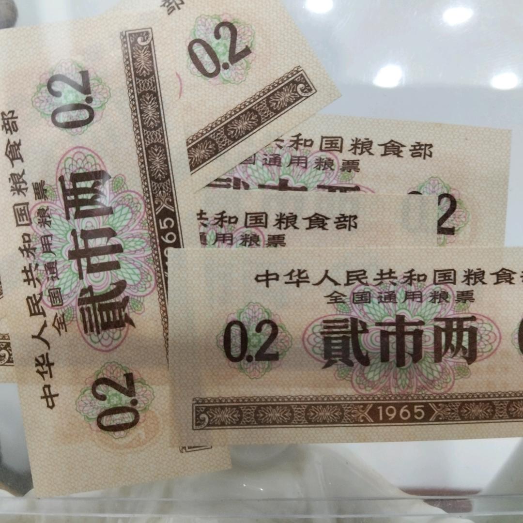 麦豆收藏