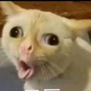 超级无敌旋风母蟑螂