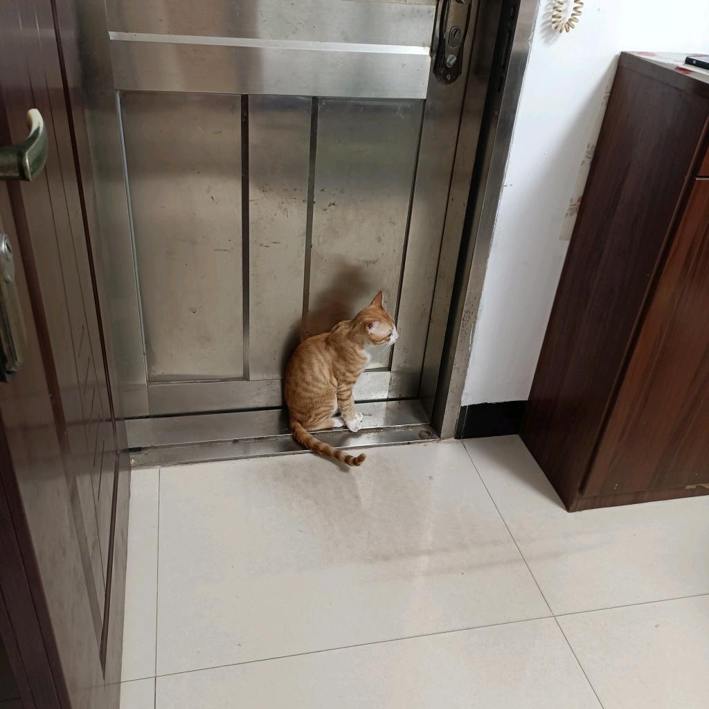 汤妈优选
