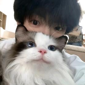 琦