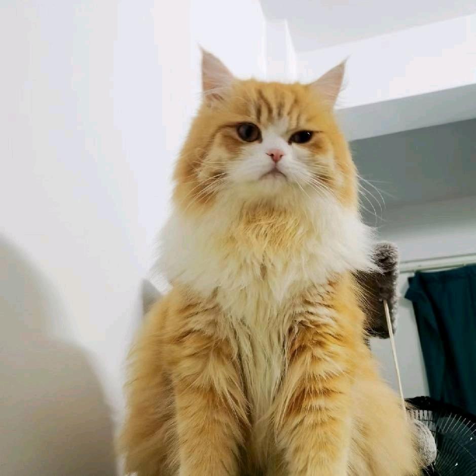 啤酒饮料矿泉水