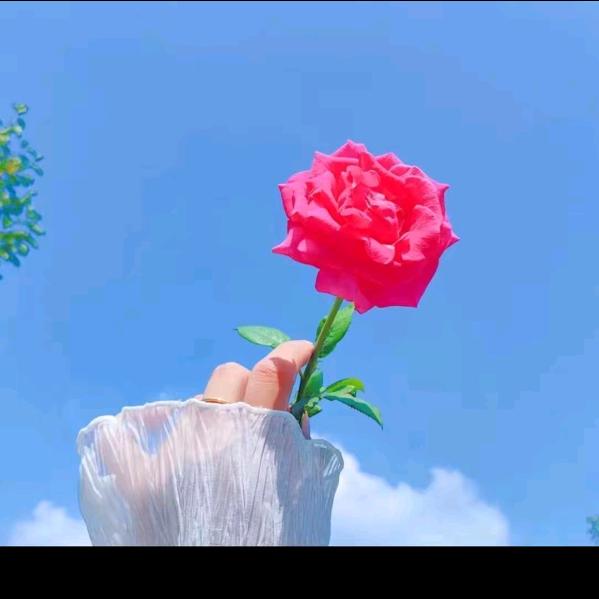 𝐆𝐮̈𝐥-♥