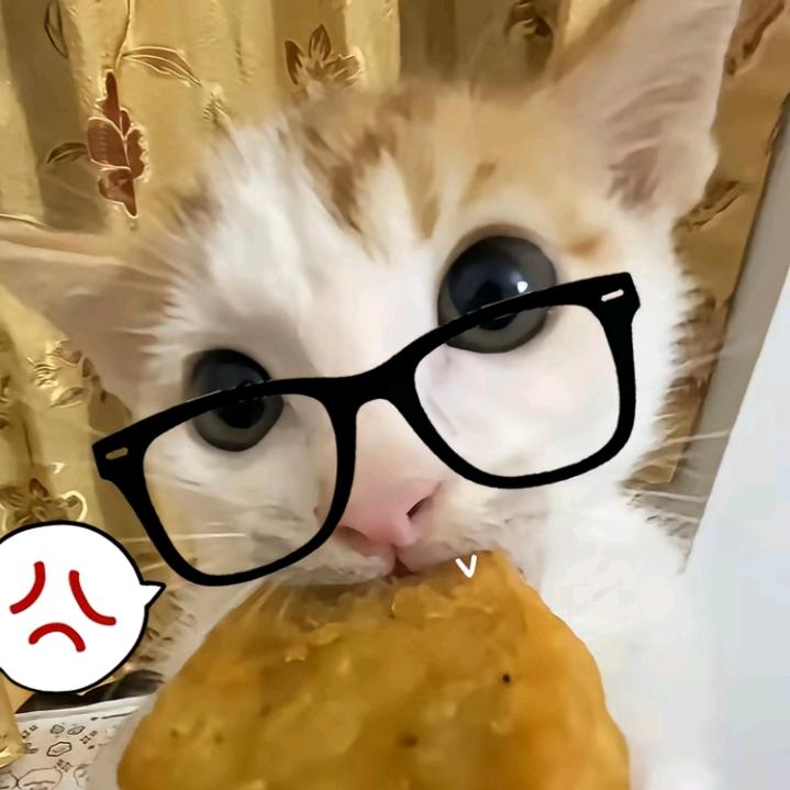 阿瑶yao