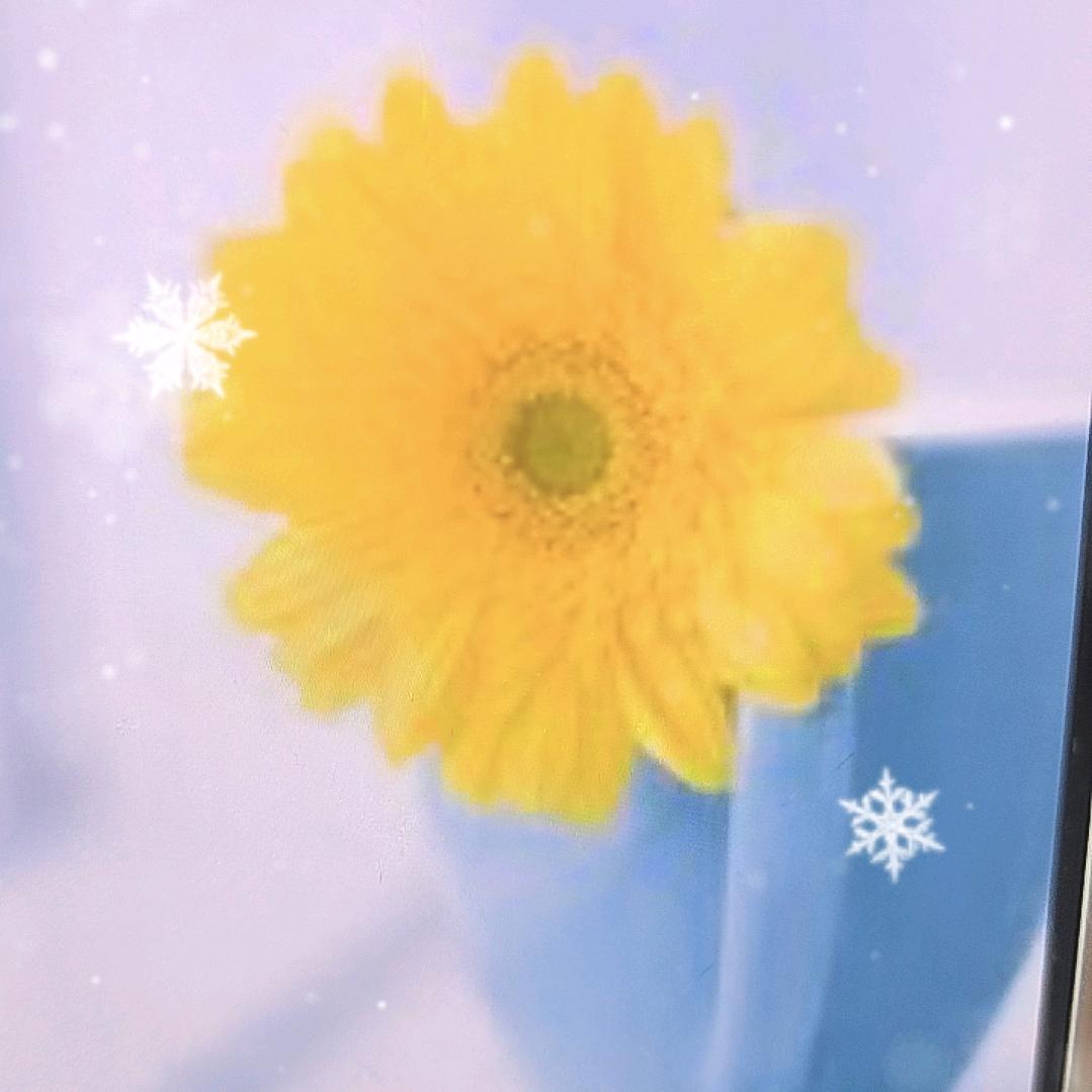 林主任-多维小蓝P