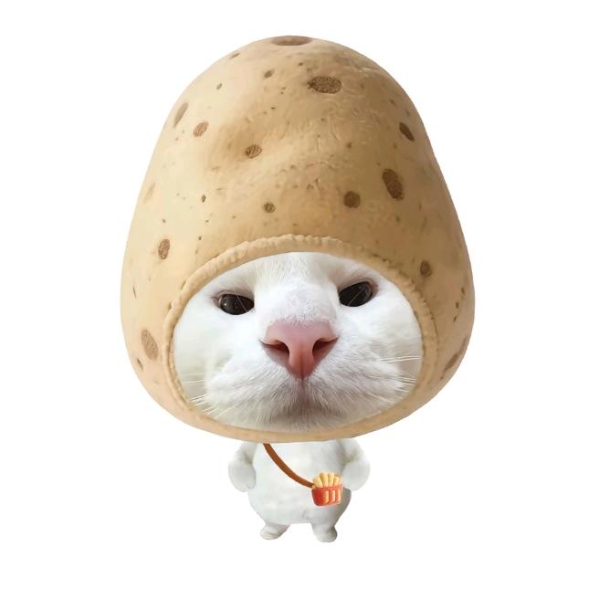 纯色               🕷️