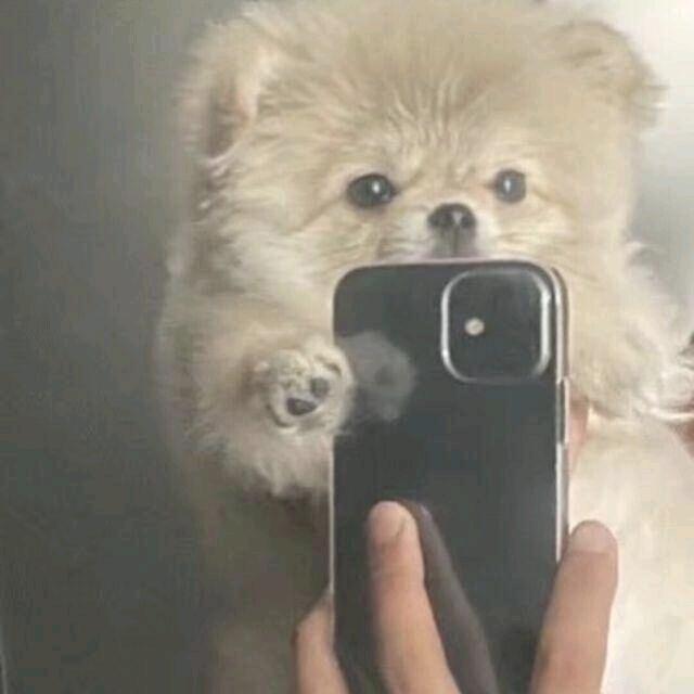 临秋