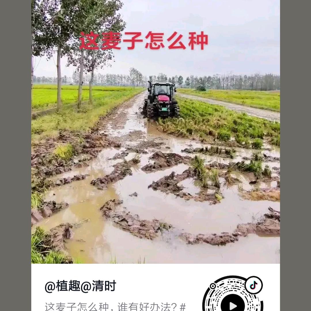 相识就是缘分，！20259440