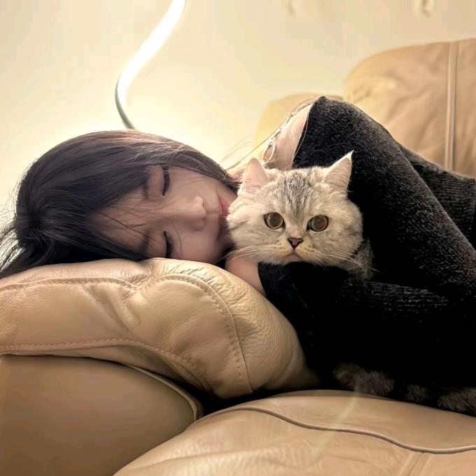 夕阳.