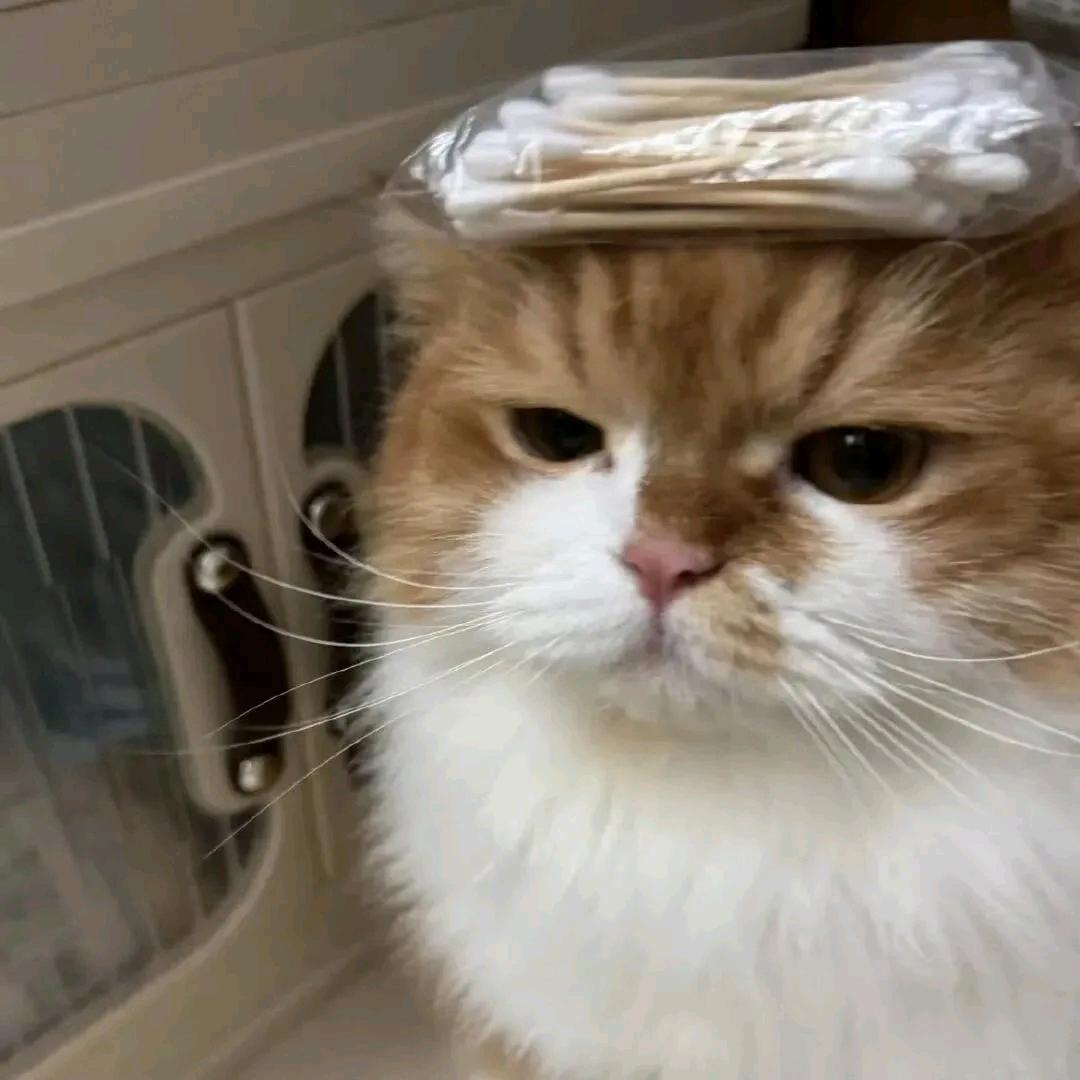 电子世界依赖症