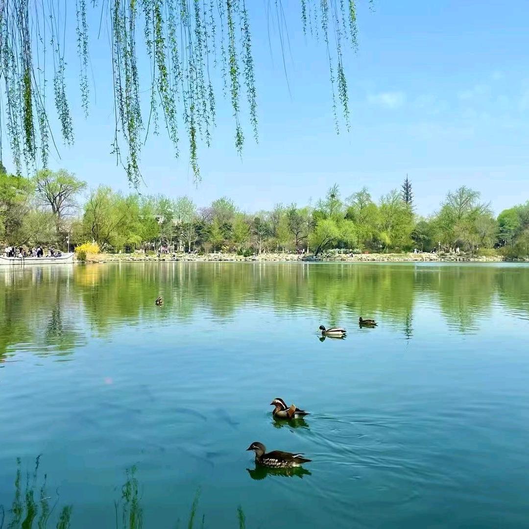 寻梦悟道