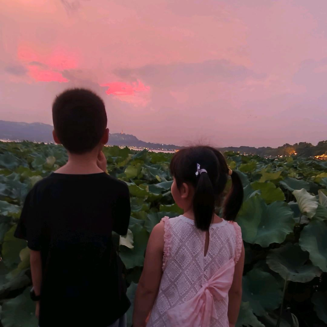 恋之の花朵