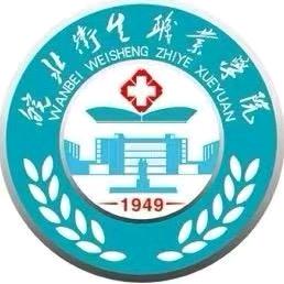 皖北卫生职业学院升学墙