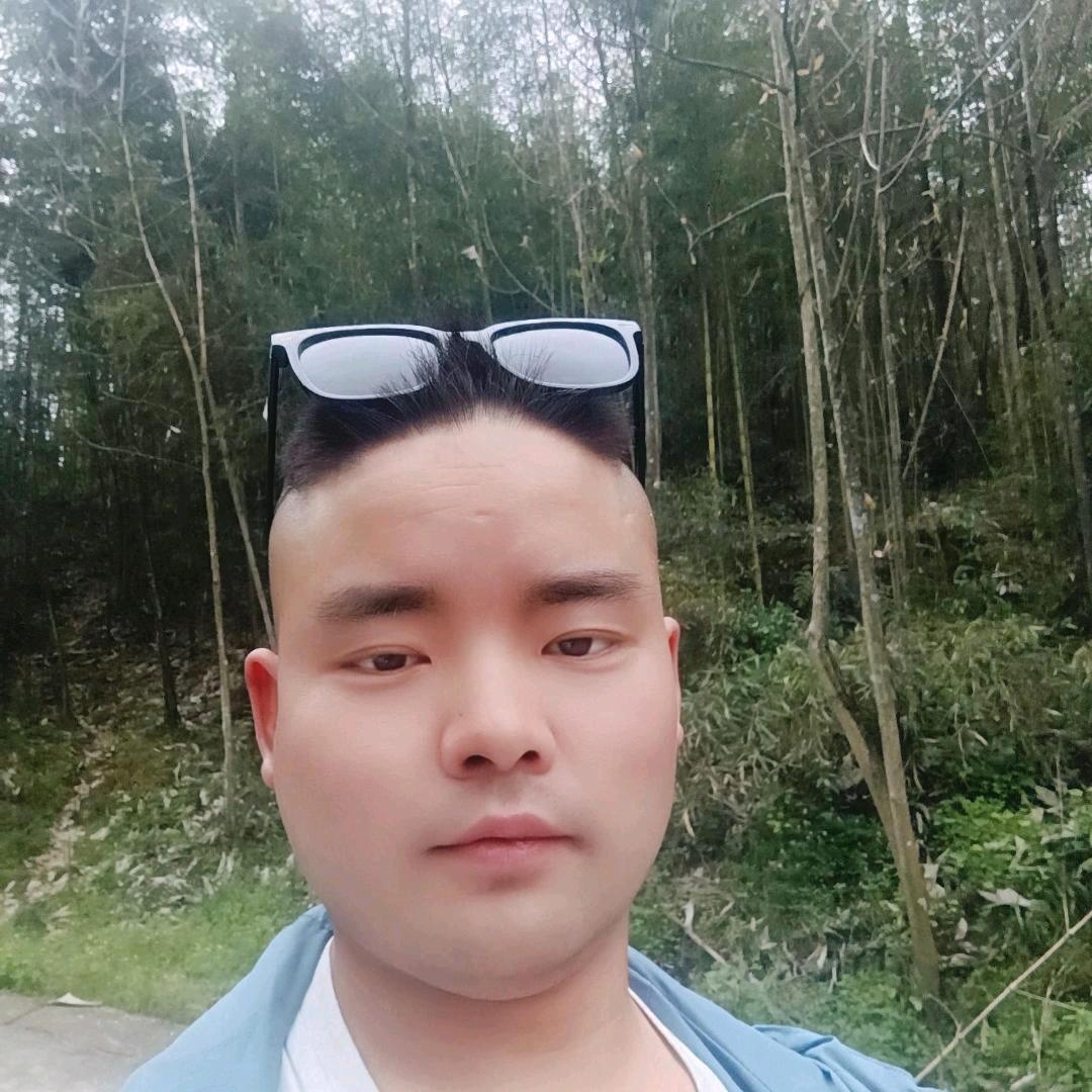 进哥