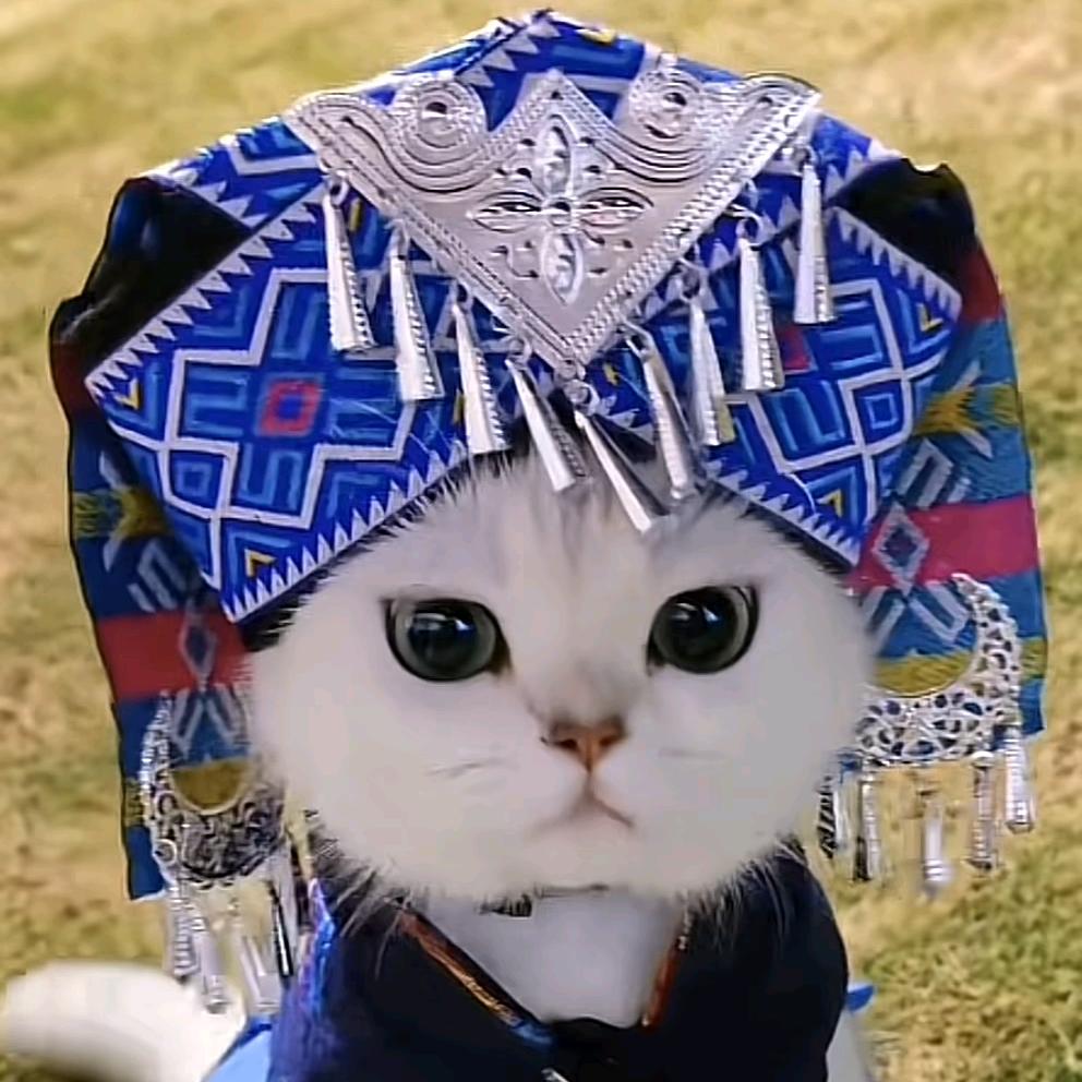 ☆.:*灵 灵.:*☆