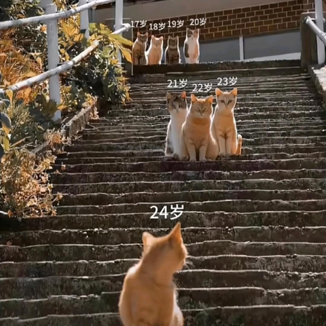 二丹`.