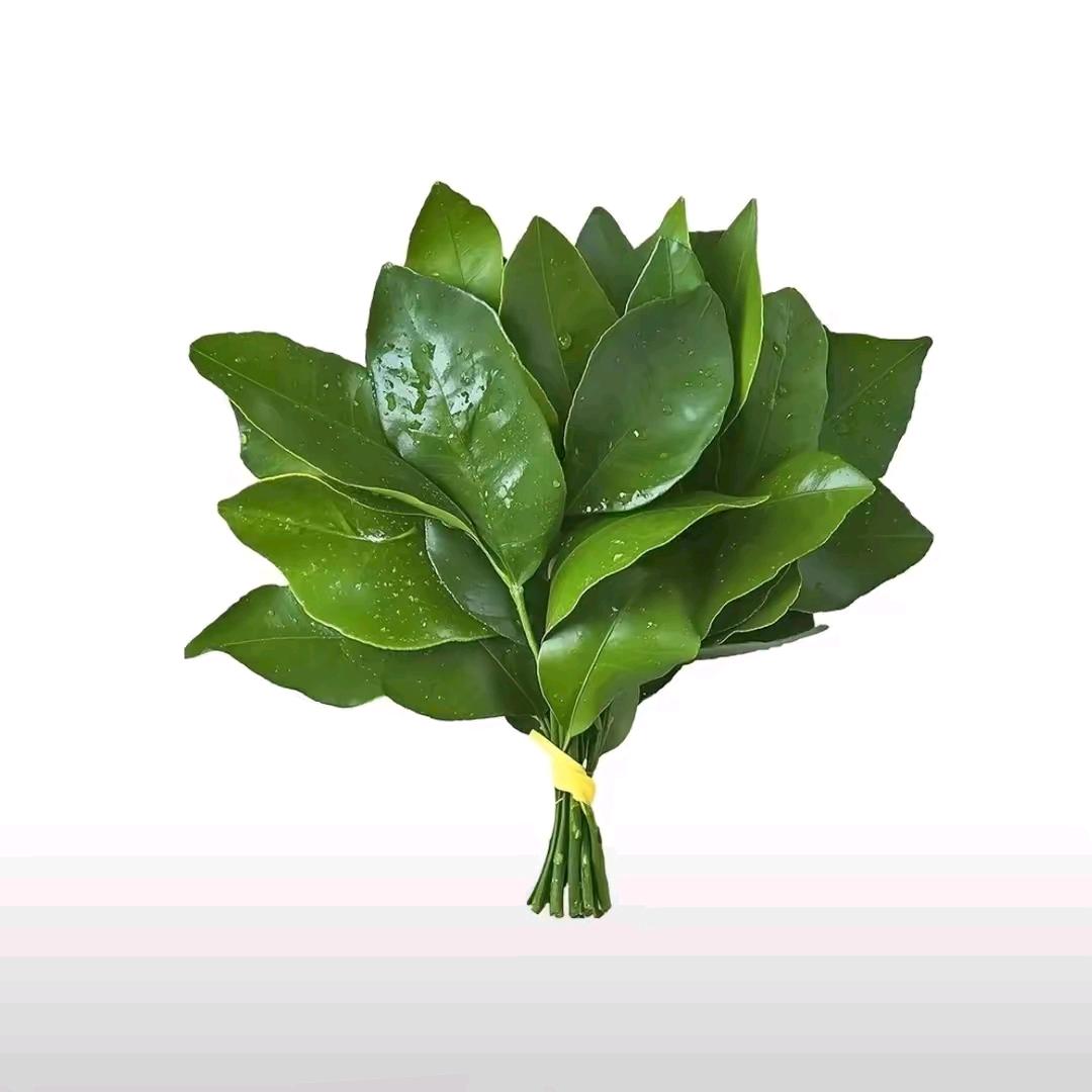 我的开心果
