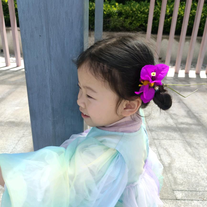 小禾财禄尖尖角