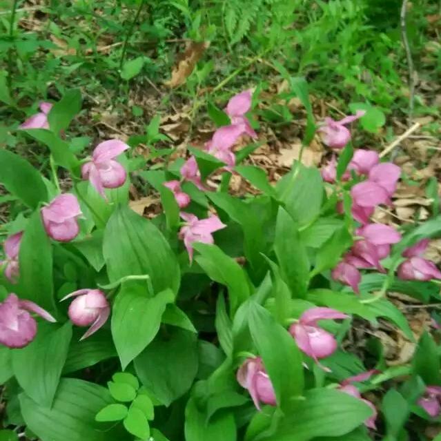 🌞一笑🌦而过