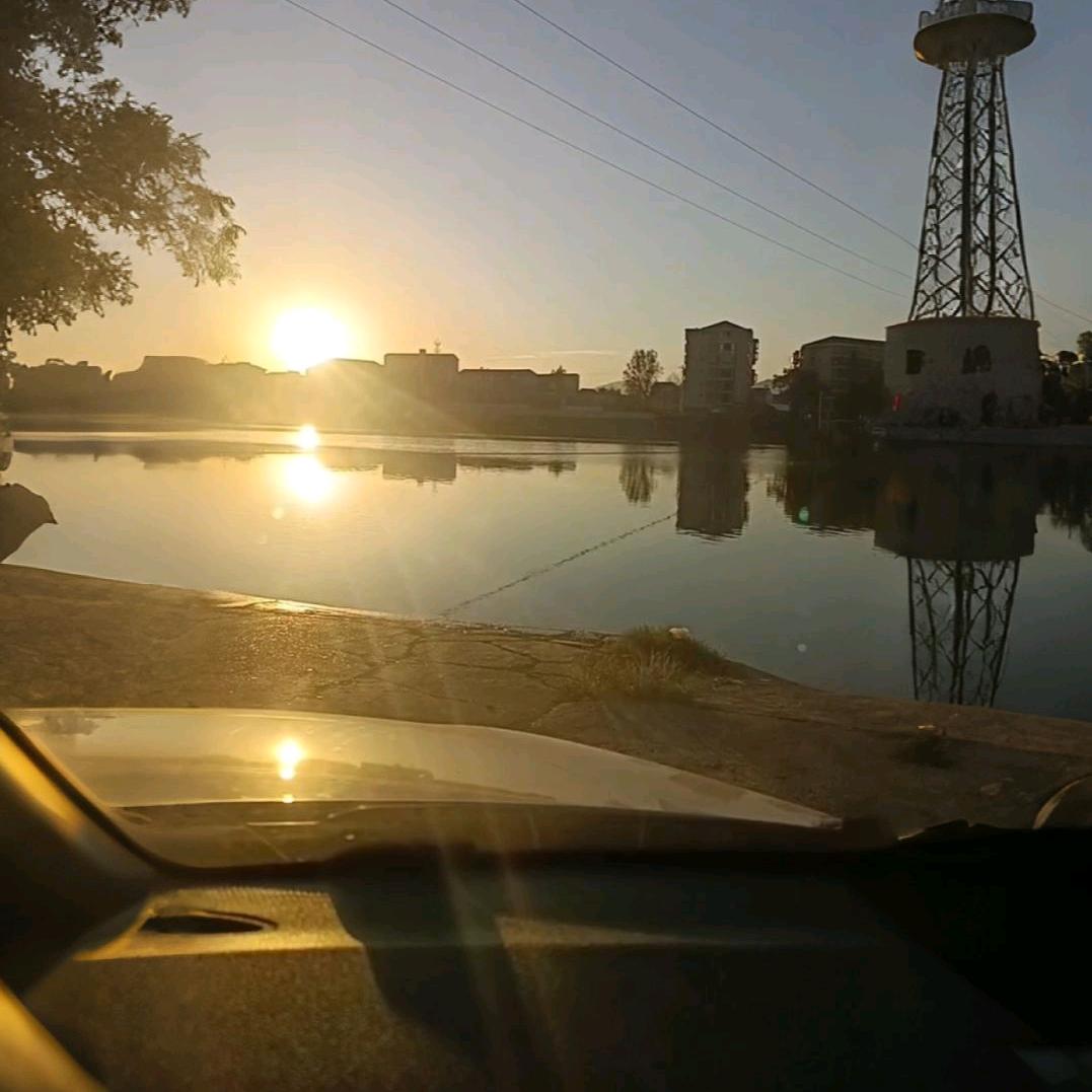 🍎心静致远🍎🐂