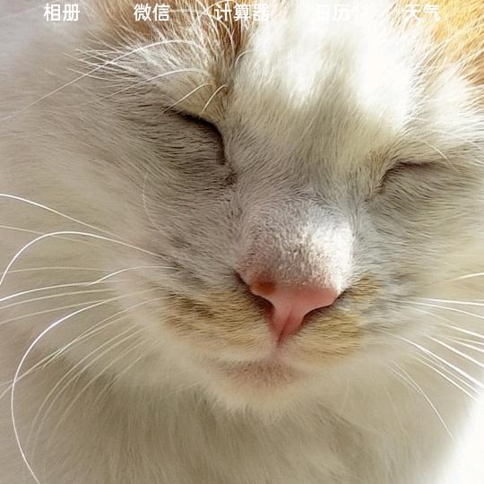 华仔k歌
