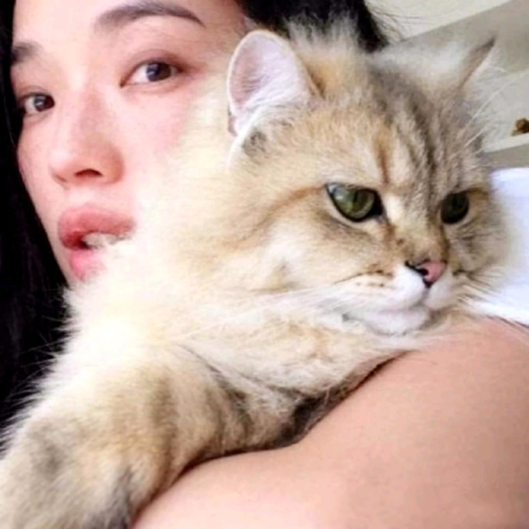 饭否饭否头像