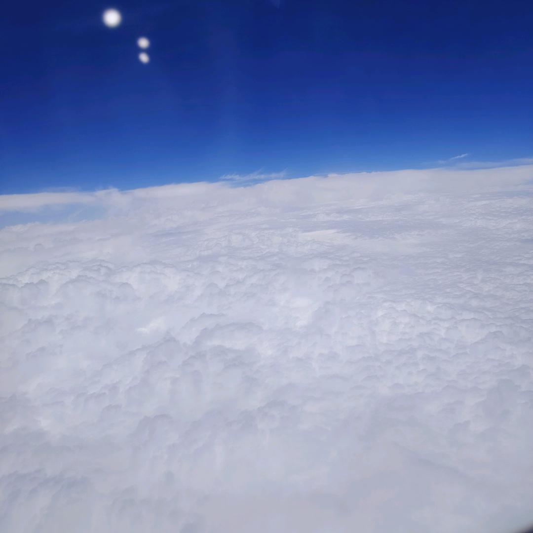 燕